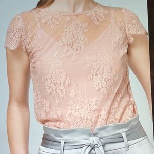 🌺 WHBM Pink Lace Cap Sleeve Top  Women’s Size XP